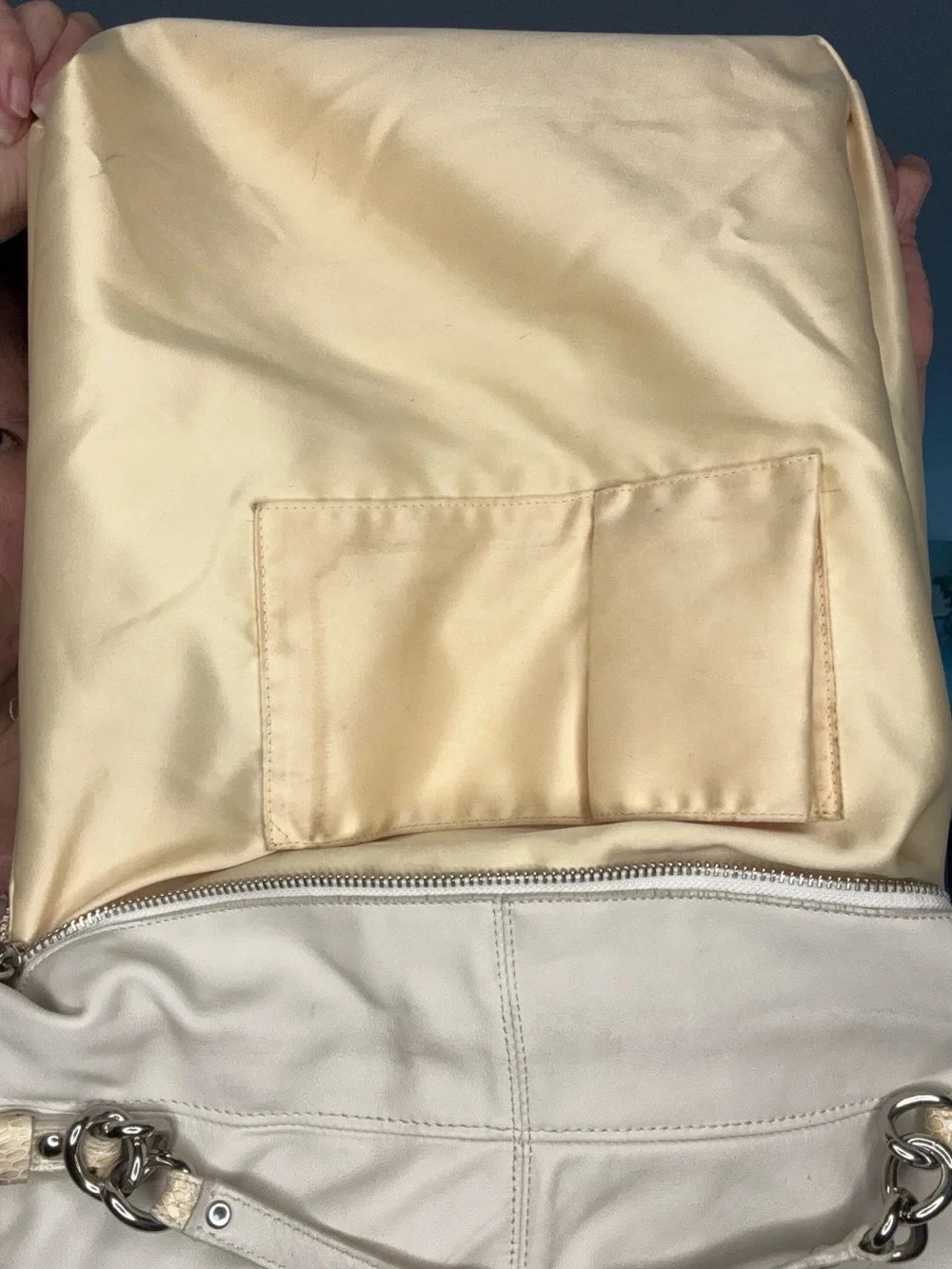 Coach Brooke Snakeskin details